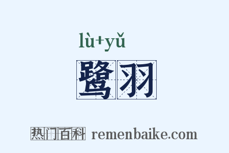 鹭羽是什么意思的图片